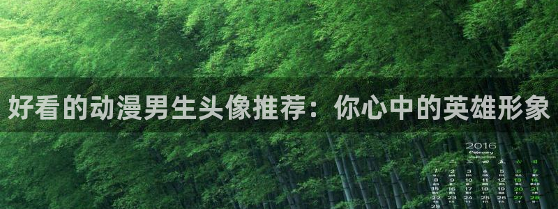 age动漫官方在线观看高清：好看的动漫男生头像推荐：你心中的英雄形象