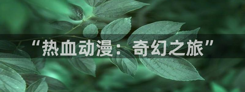 age动漫官网ios：“热血动漫：奇幻之旅”